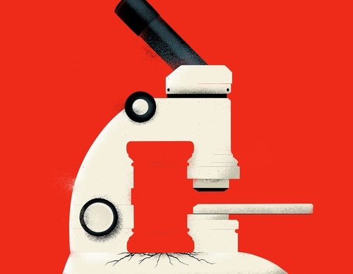 Gallery Of Illustration By Sebastien Thibault  - Canada