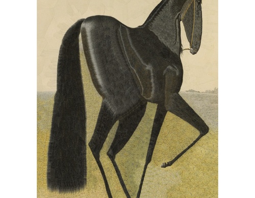 Galería de ilustración de Lola Dupre - británico