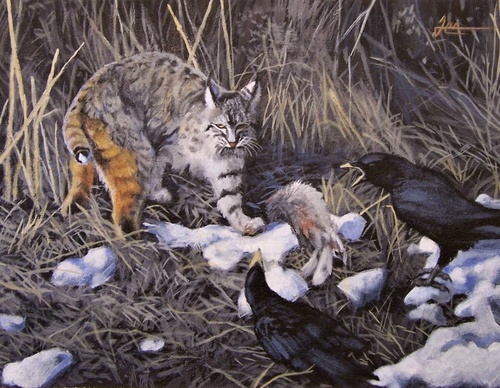 jorge castrillon