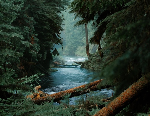 Gallery Of Photography By Chris Henry - USA