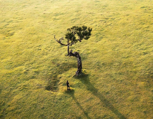 Galería de Fotografía de Daryl Scott Walker - Inglaterra