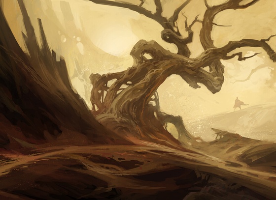 Andreas Rocha