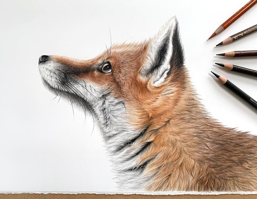 Gallery Of Realistic Painting By Lucy Joyce - United Kingdom