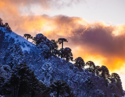 Gallery Of Photography By Sebastián Ojeda S - Chile