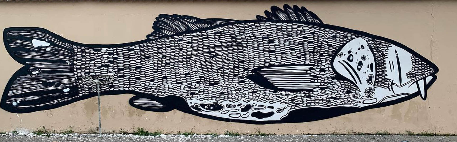 Gallery Of Street Art By Alex Senna - Brazil