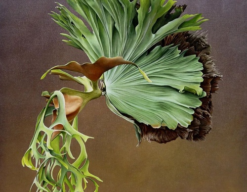 Gallery Of Visual Art By Carlo Batistella - Brazil