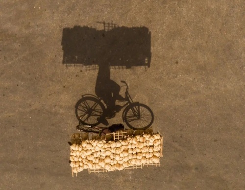 Gallery of photography by Ahmed Mansour - Egypt