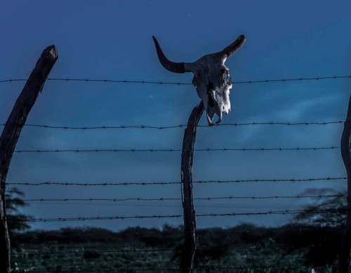 Gallery of photography by Gustavo Bettini-Brazil