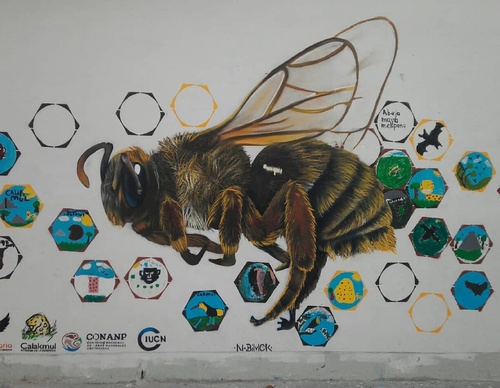 Galería de arte callejero de Nashi Bime - México