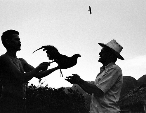 raul canibano