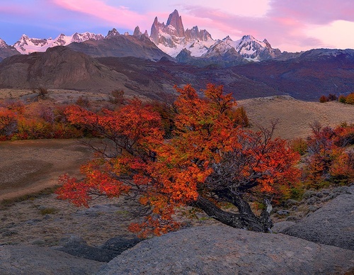 Galería de fotografía de Greg Boratyn - Argentina