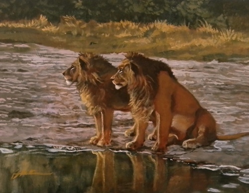 jorge castrillon