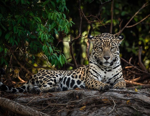 Gallery Of Photography By Fernando Faciole - Brazil