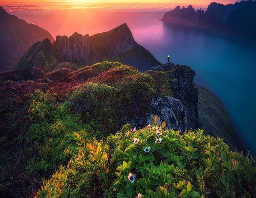 Gallery Of Photography By Max Rive - Netherlands