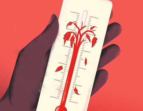 Gallery Of Illustration By Sebastien Thibault  - Canada