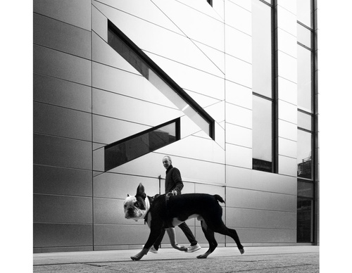 Galeria de fotografia de Ovidiu Șelaru - Romênia