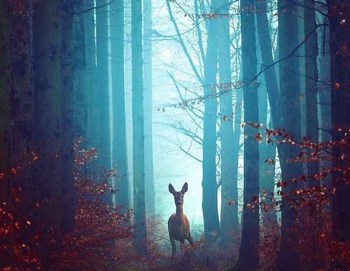 Gallery Of Photography By Robert Jahns - Germany