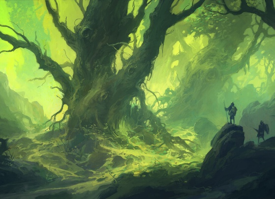 Andreas Rocha