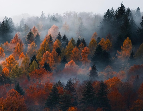 Galería de fotografías de Jan Pallmer - Alemania