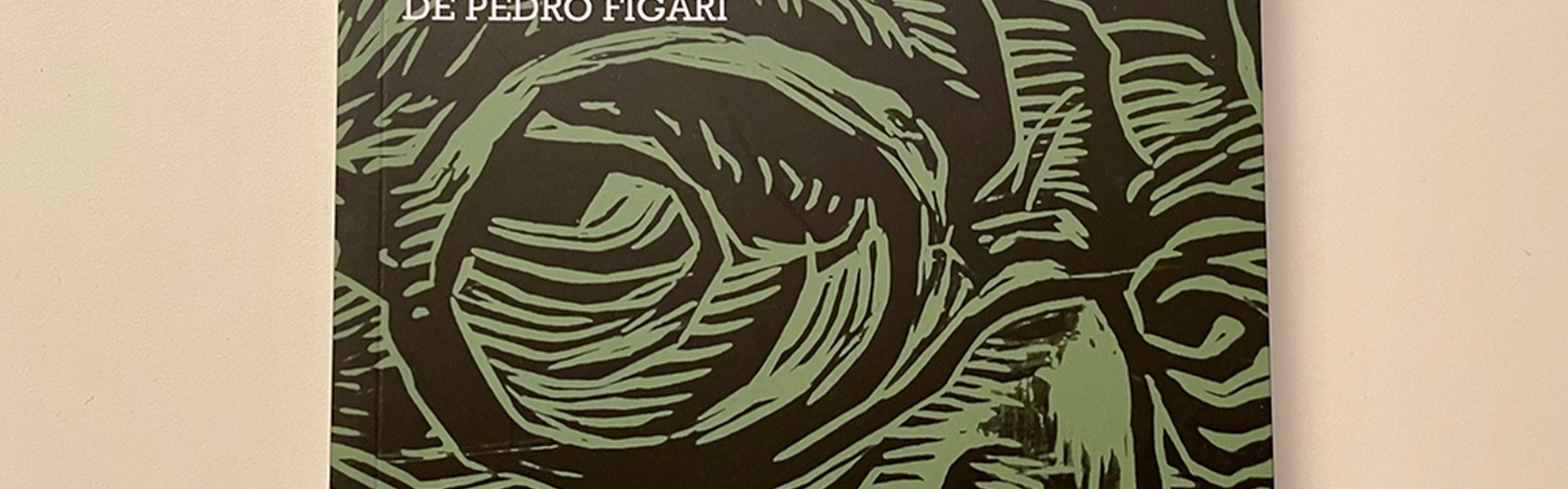 Catalog of the Iconographic Exhibition of Pedro Figari