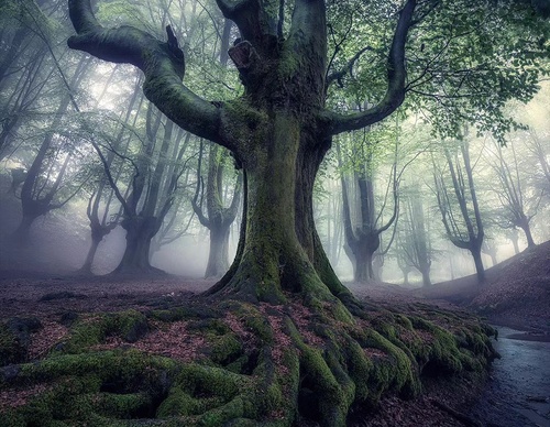 Gallery Of Photography By Max Rive - Netherlands