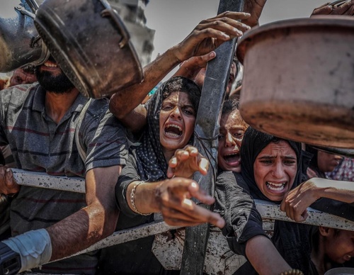 ali jadallah gaza