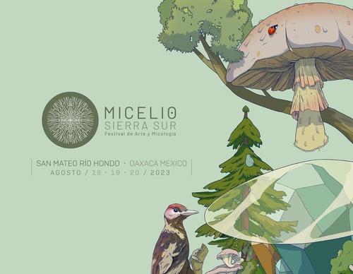 Galería De Ilustración De David Piñón - México
