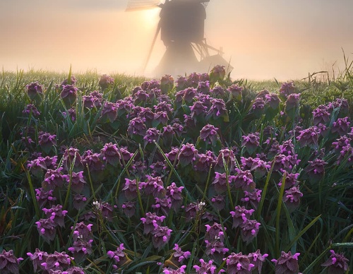 Galería de fotografía de Gijs de Reijke - Holanda
