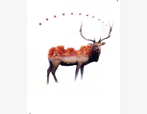 Gallery Of Graphic Design By Joakim - Sweden