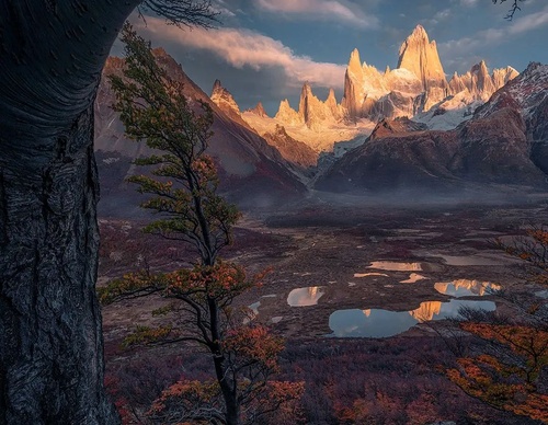 Gallery Of Photography By Max Rive - Netherlands