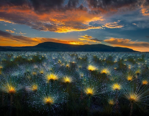 Galería de fotografía de Marcio Cabral - Brasil