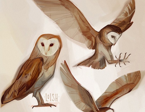 Galeria de ilustrações de Lois Van Baarle-Holanda