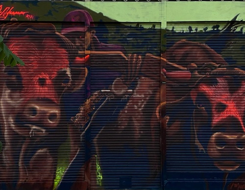 Gallery Of Street Art By Kiki - Brazil