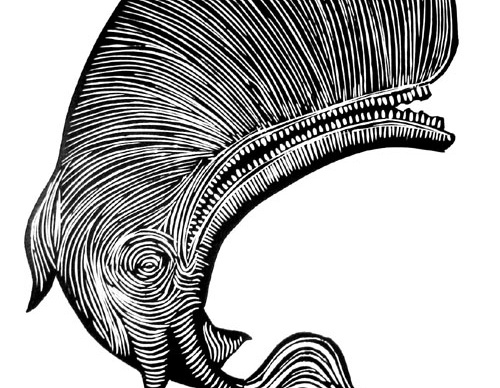 Gallery of illustration by Samuel Casal - Brazil