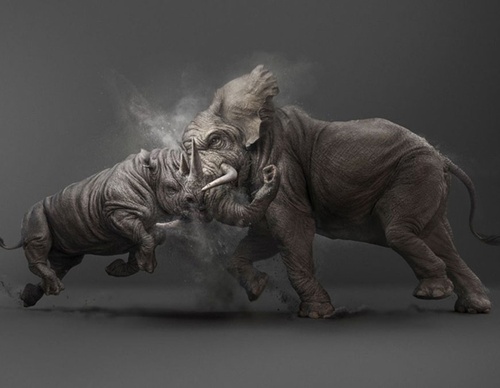 best illustrators worldwide