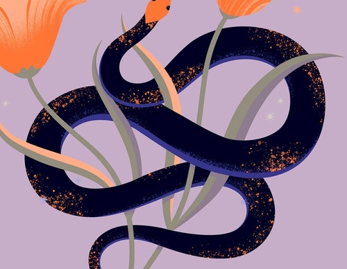 Gallery Of Illustration By Cat Finnie - England