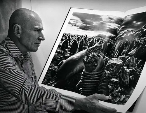 Documentary Photography – The Witnessing Gaze