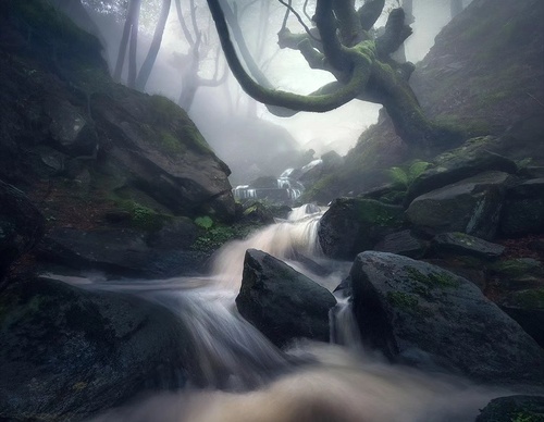Gallery Of Photography By Max Rive - Netherlands