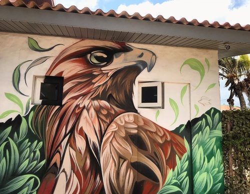Gallery Of Street Art By Fio Silva - Argentina