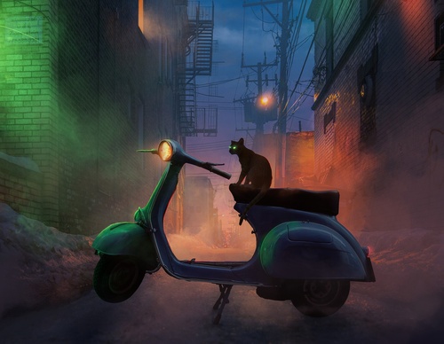 Gallery Of Illustration By WowMello - USA