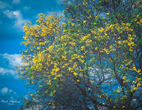 Gallery Of Photography By Norberto Kreutzer Fruhauf - Brazil