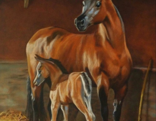 jorge castrillon