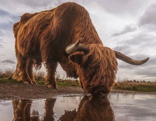 Galeria De Fotografia De Adrian Sommeling - Holanda