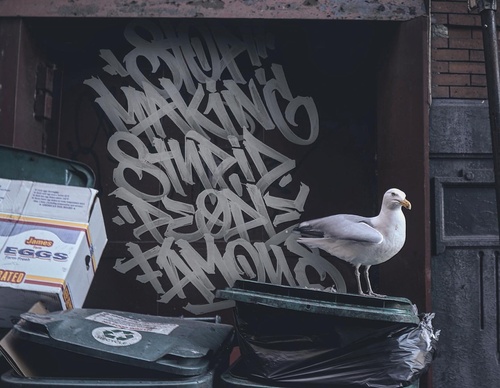 Gallery Of Calligraphy By Dima Abrakadabra - Russia