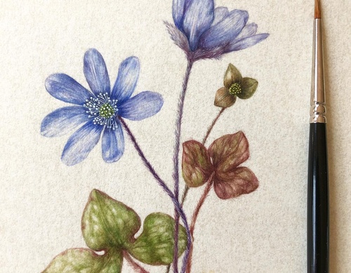 Gallery of Drawing by GiacoMina Ferrillo-Italy