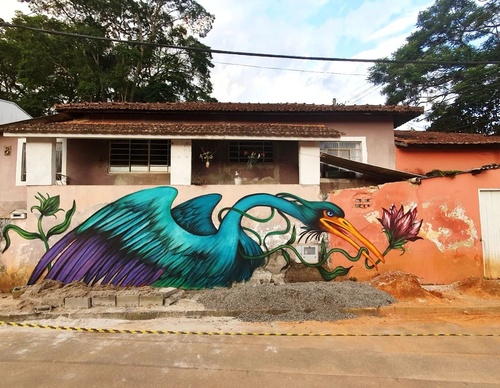 Gallery Of Street Art By Bailon - Brazil