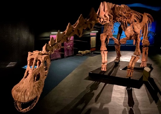 Nova temporada da rede de museus CaixaForum