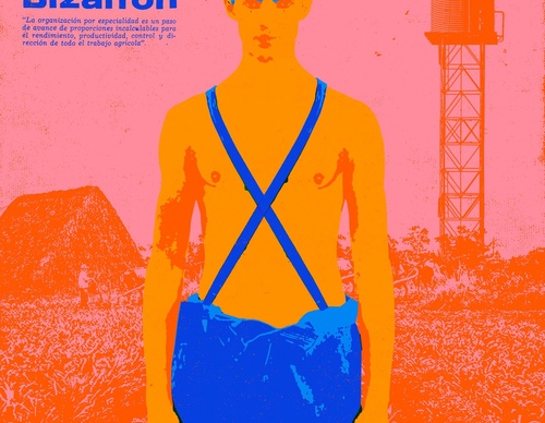 alejandro caner