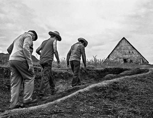 raul canibano
