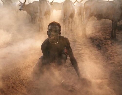 Galería de fotografía de Alessandro Bergamini - Italia